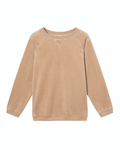 Musc Sweater